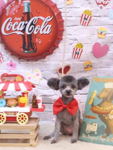 20230923おこげちゃん